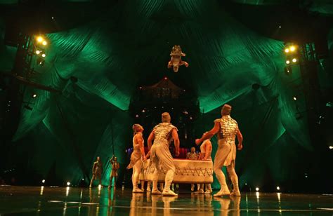 Cirque du Soleil artist injured during Kooza performance